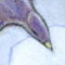 Watercolor of purple martins done for as a retirement gift for an associate